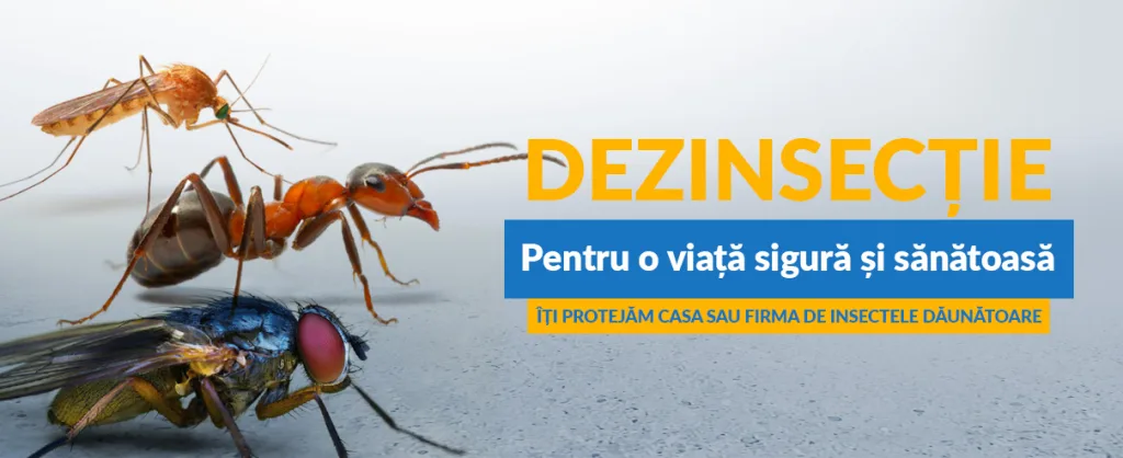 Ce este si cum se face dezinsectia?